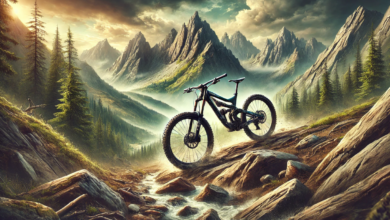 Dual Suspension Mountain Bike